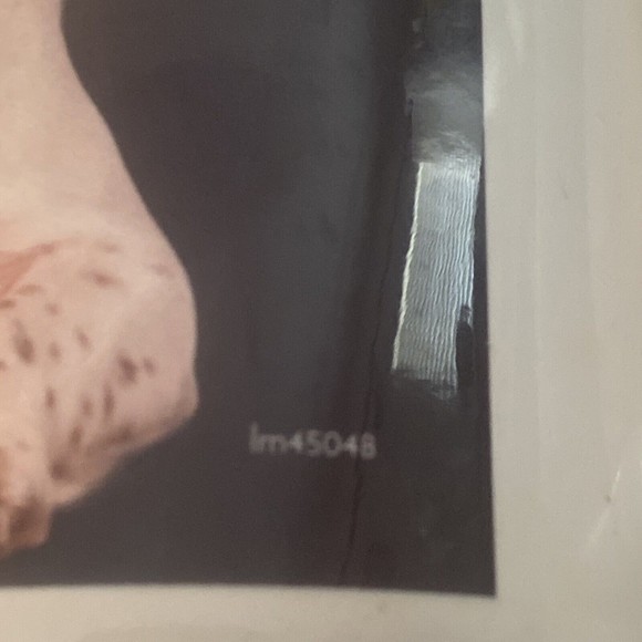 ‘I Love English Springer Spaniels" Large Mug Coffee Cup lm45048 - Picture 7 of 9